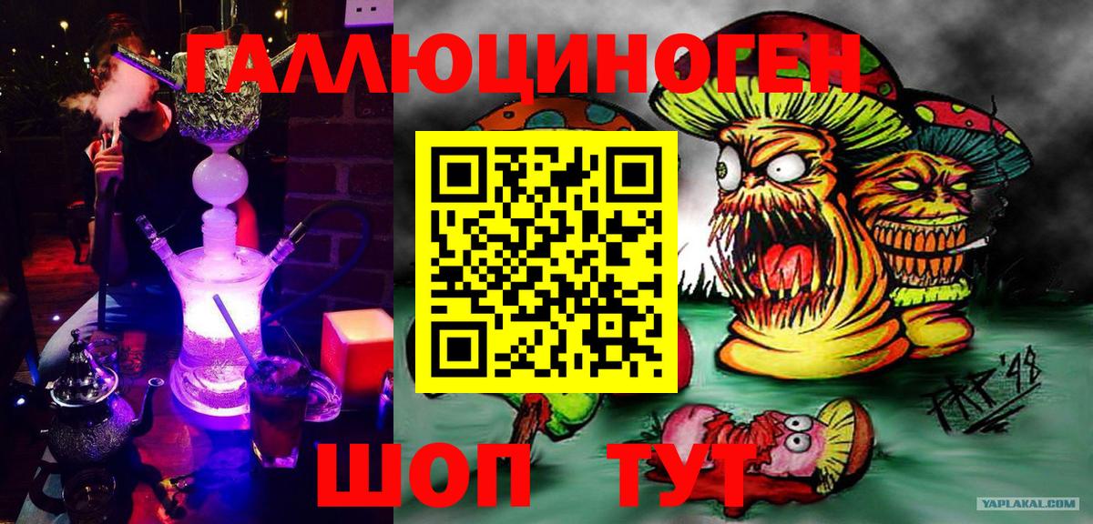 Галлюциногенные грибы Cubensis  Вход с VPN  Галлюциногенные грибы прущие грибы  Пенза 